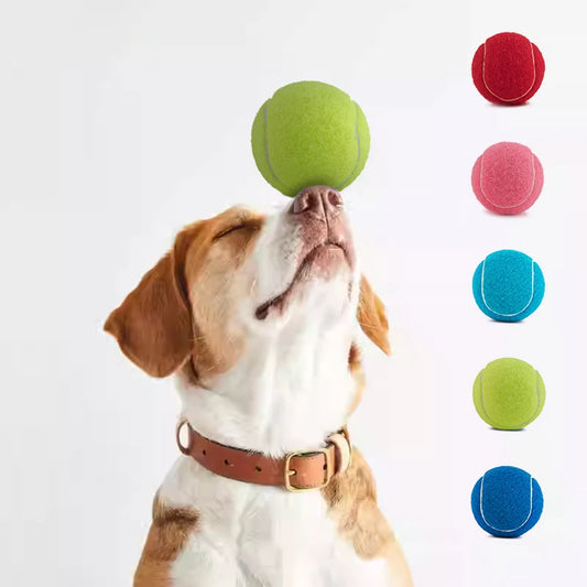 Choice High Elasticity Tennis Ball for Dogs Bite Resistant Toy